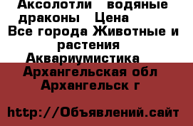 Аксолотли / водяные драконы › Цена ­ 500 - Все города Животные и растения » Аквариумистика   . Архангельская обл.,Архангельск г.